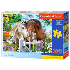 пазли Castorland  100 ел.  B-111121  (20)