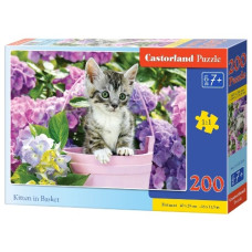 пазли Castorland  200 ел.  B-222209  (20)