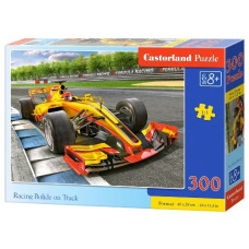 пазли Castorland  300 ел.  B-030347  (20)