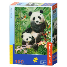 пазли Castorland  300 ел.  B-030507  (20)
