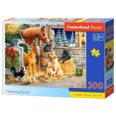пазли Castorland  300 ел.  B-030255  (20)