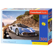 пазли Castorland  300 ел.  B-030316  (20)