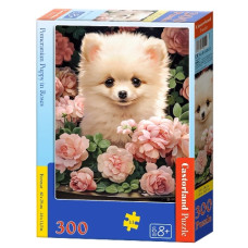 пазли Castorland  300 ел.  B-030552  (20)