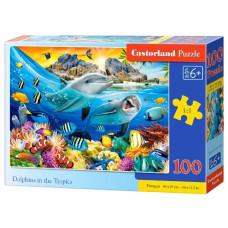 пазли Castorland  100 ел.  B-111169  (20)