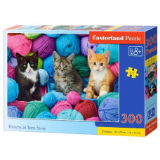 пазли Castorland  300 ел.  B-030477  (20)