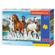 пазли Castorland  200 ел.  B-222056  (20)