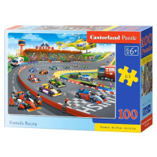 пазли Castorland  100 ел.  B-111046  (20)